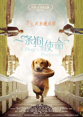 国产99久久久欧美黑人