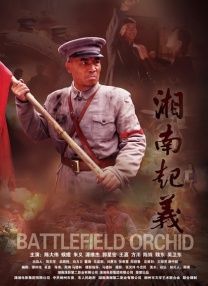 香蕉在线视频播放
